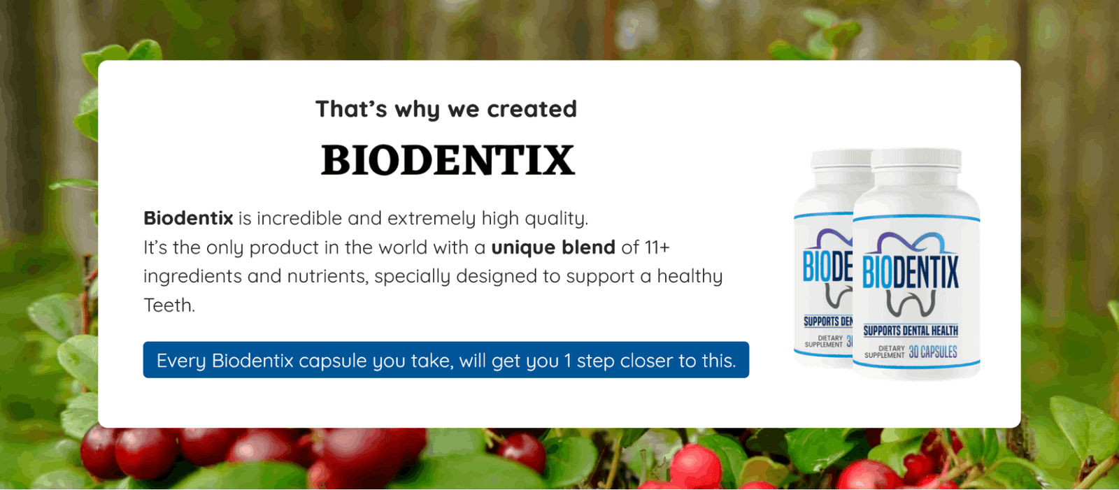 Biodentix image